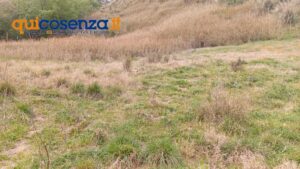 Discariche sant agostino rende 19