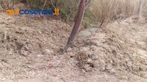 Discariche sant agostino rende 21