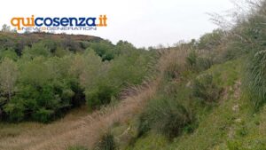 Discariche sant agostino rende 5