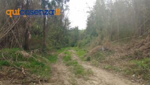 Discariche sant agostino rende 8