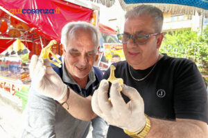 "Facce da Fiera" 2025: volti, colori e scatti dal tradizionale evento fieristico di Cosenza - FOTO 58 Fiera di San Giuseppe2025 facce08