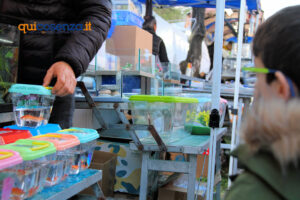 "Facce da Fiera" 2025: volti, colori e scatti dal tradizionale evento fieristico di Cosenza - FOTO 117 Fiera di San Giuseppe2025 facce59