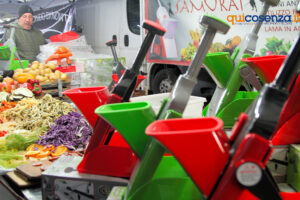 "Facce da Fiera" 2025: volti, colori e scatti dal tradizionale evento fieristico di Cosenza - FOTO 77 Fiera di San Giuseppe2025 facce73