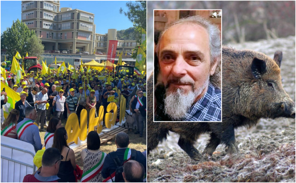 Franco Iacovo cetraro cinghiale Coldiretti