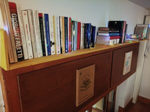 Free Library Cosenza4