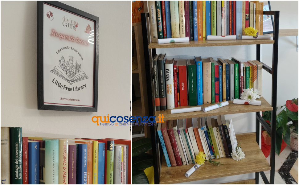 Free Library_Corso umberto Cosenza