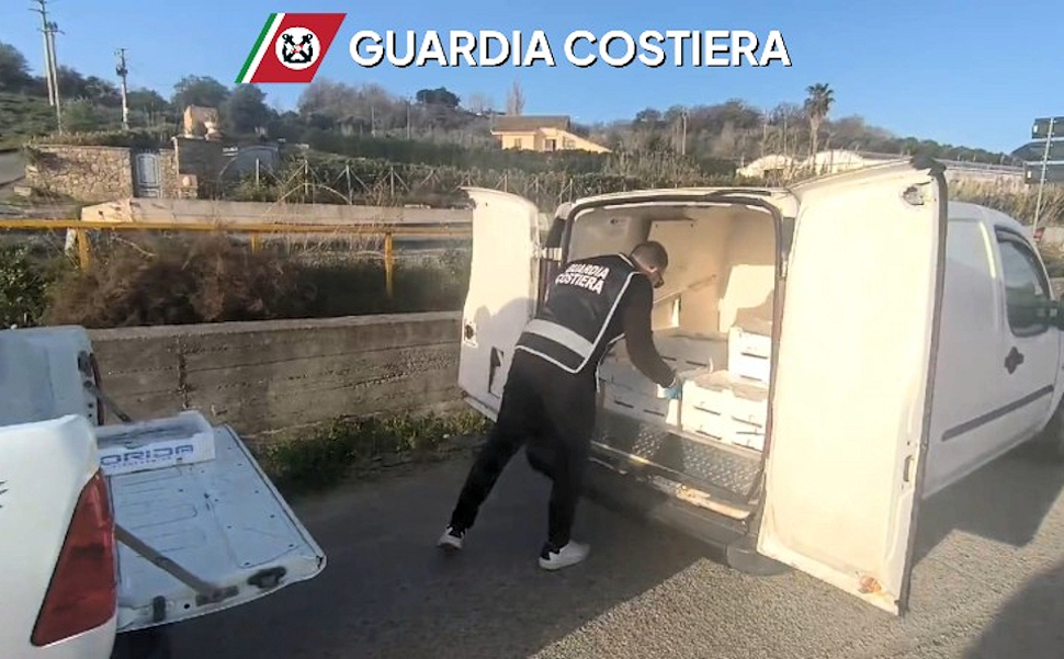 Guardia Costiera bianchetto novellame di sarda