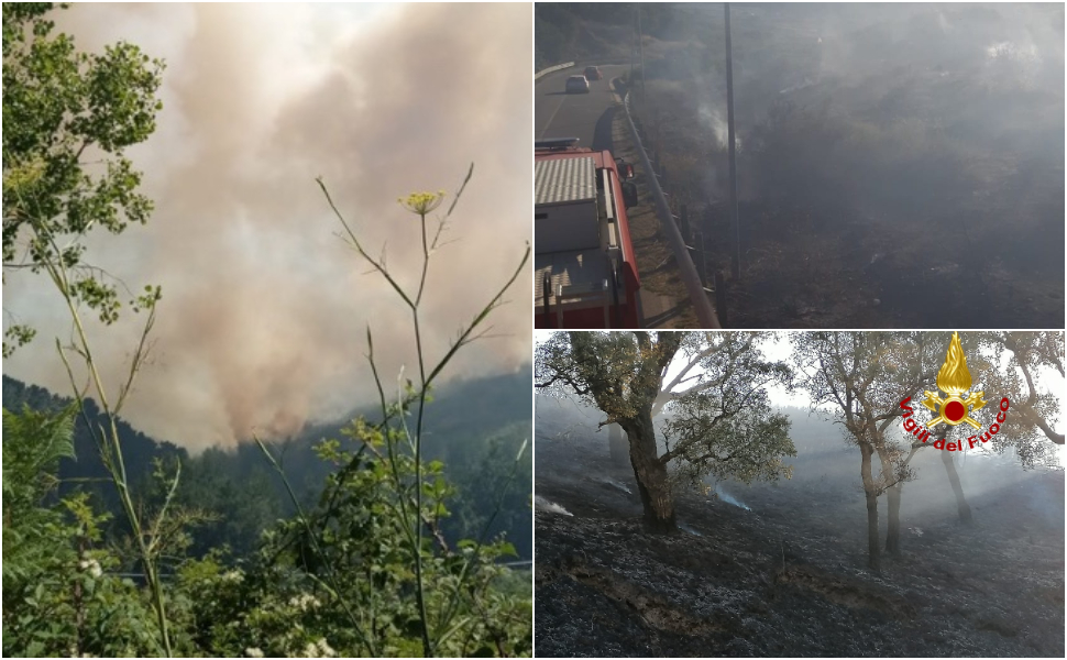 Vasto incendio boschivo alle porte di Falerna. All'opera anche due canadair - VIDEO 1 Incendio Falerna