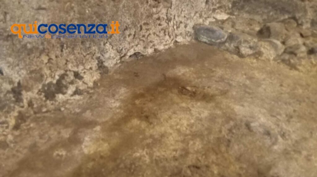 Museo Etnografico infiltrazioni centro storico cosenza 9