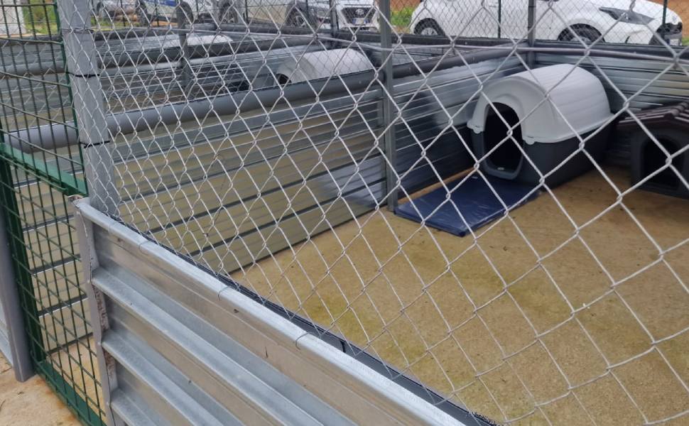 Oasi Canina della Legalita 01