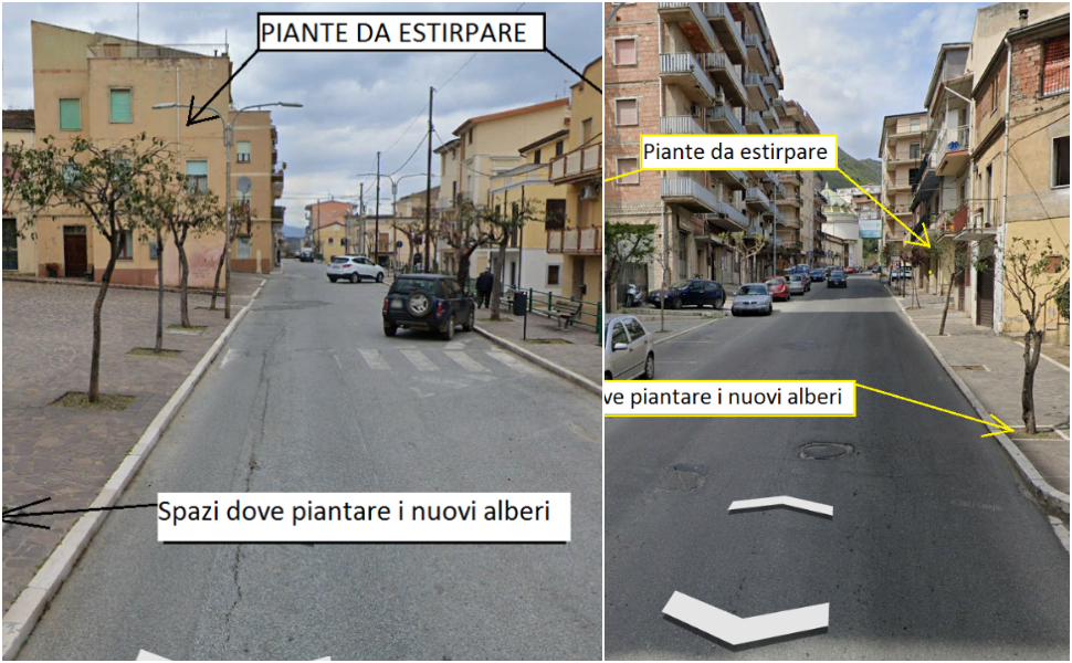 Piante Cassano Allo ionio