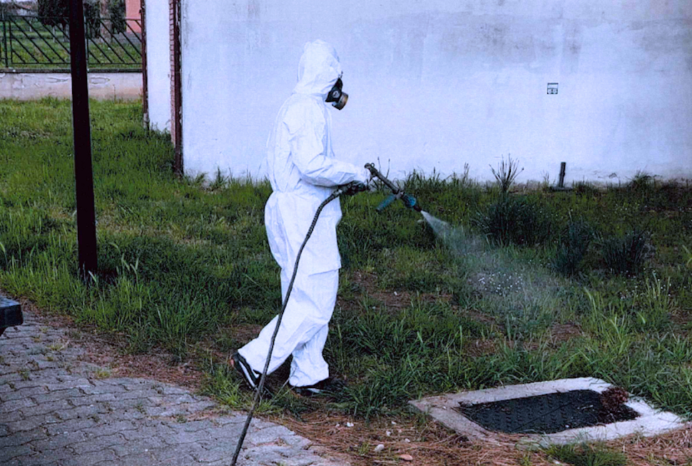 Processionaria Rende 04