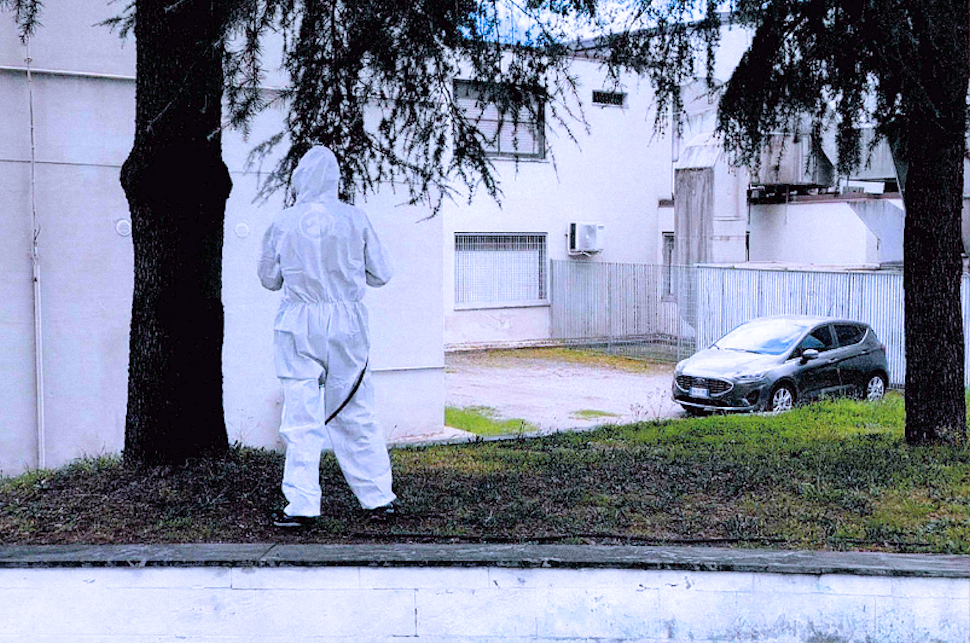 Processionaria Rende 05