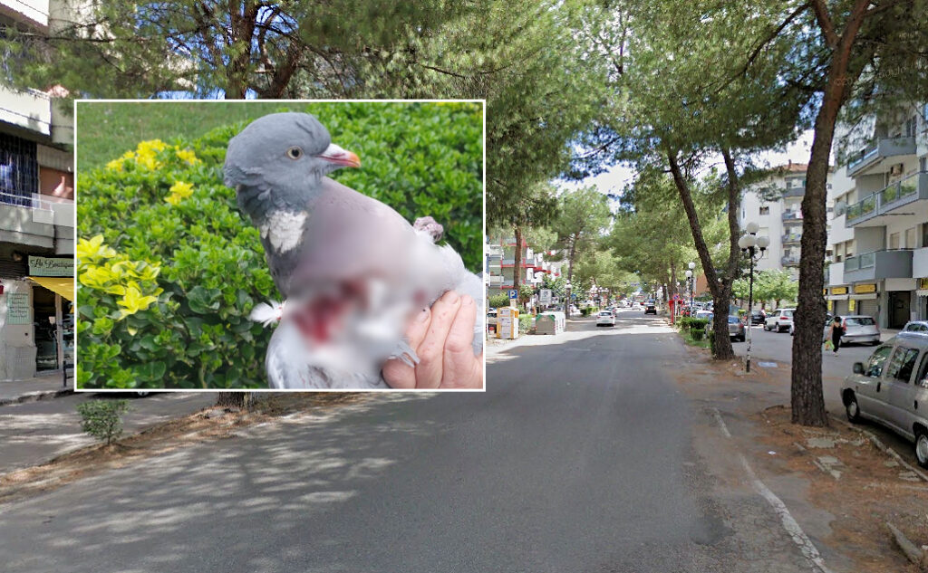 Paura a Rende: colpi di pistola dalla finestra, panico tra i cittadini. Intervengono i carabinieri 2 Rende Colpi di pistola