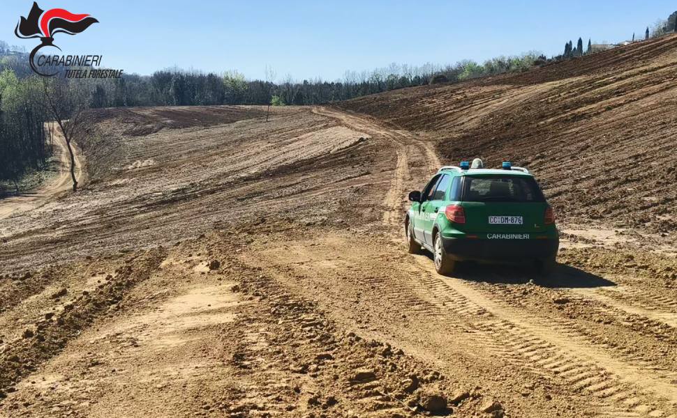 Rende, disboscamento abusivo su 7 ettari di terreno. Denunce e sanzioni per 490mila euro 53 San Biase Serra di Volpe del Comune di Rende 01