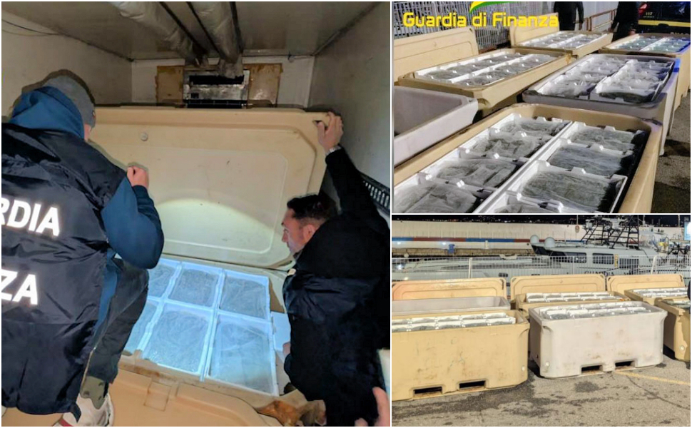 Sequestro novellama di sarda