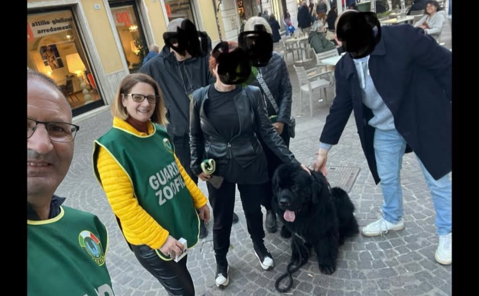 controlli-cani-guardie-NOOETA