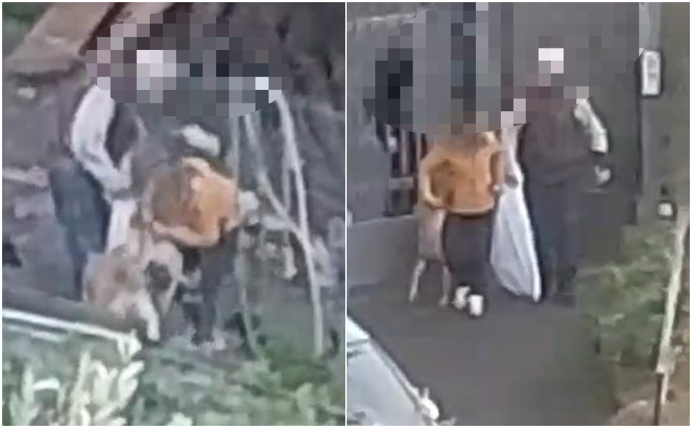 denuncia-maltrattamenti-Sangineto