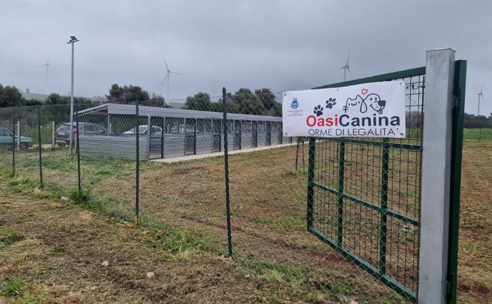 oasi canina orme di legalita 02