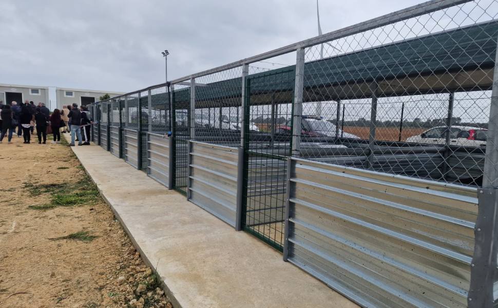 oasi canina orme di legalita 06