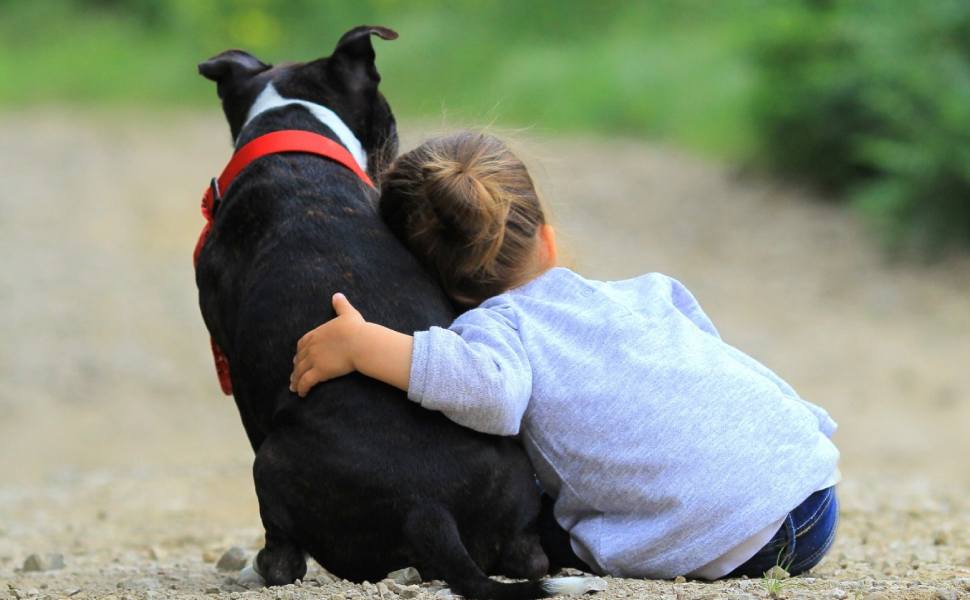rapporto cani bambini