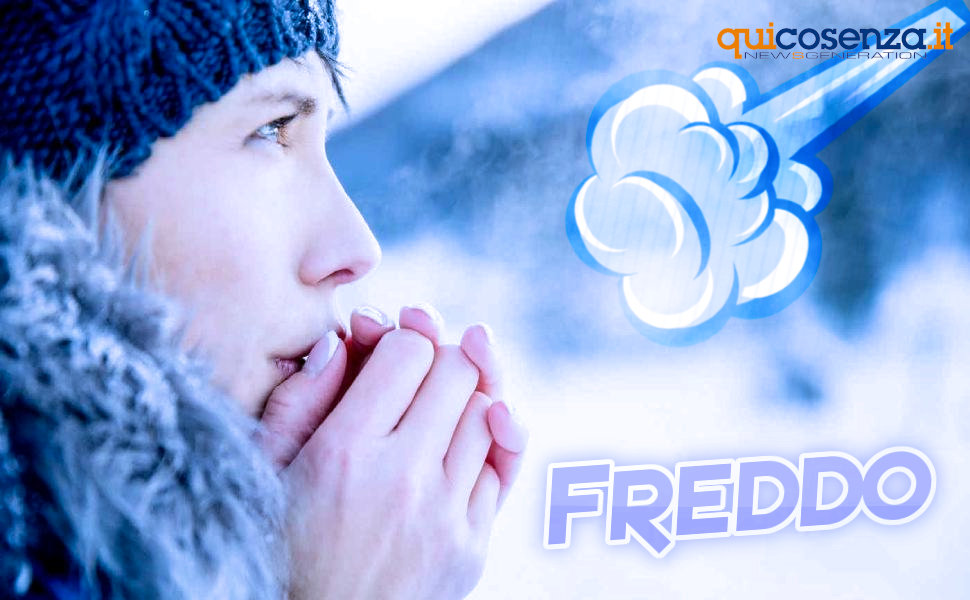 Freddo