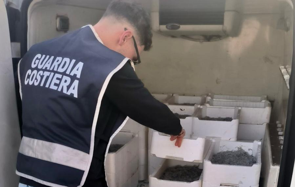 Maxi sequestro di bianchetto sulla Statale 106: in un furgone trovati 2 quintali di novellame 52 Novellama di sarda