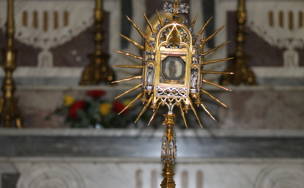 alluce-san-francesco-paola