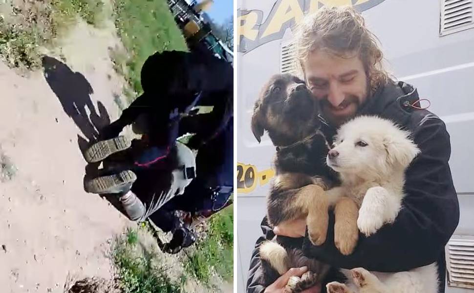 arresto giandomenico oliverio