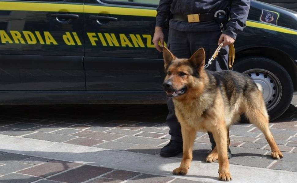 cane guardia finanza unita cinofila