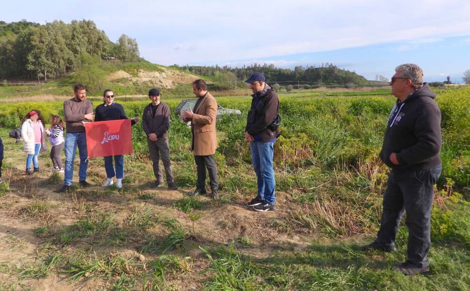 cicogna bianca palo lipu santa sofia epiro 4