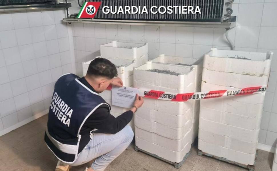Maxi sequestro di bianchetto sulla Statale 106: in un furgone trovati 2 quintali di novellame 51 guardia costiera novellame sarda