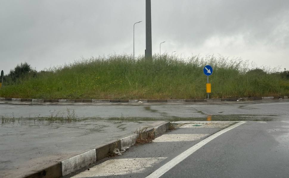 statale 106 vegetazione corigliano rossano 02