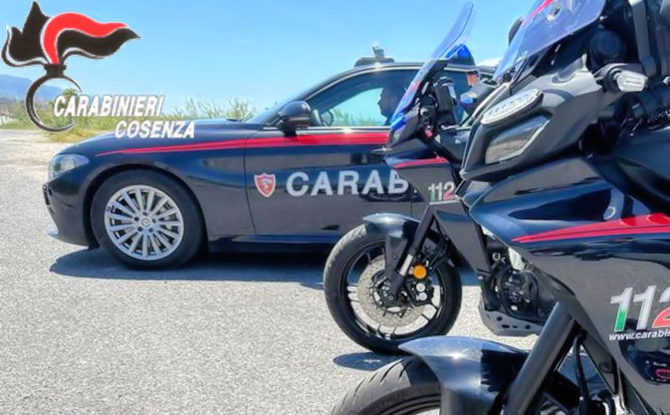 Truffa un'anziana ma viene smascherato. Fugge e si lancia dal ponte di Calatrava: arrestato e portato in ospedale 54 Carabinieri Cosenza con moto