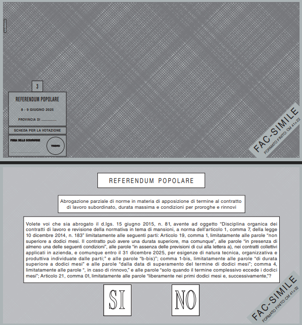 Referendum scheda grigia