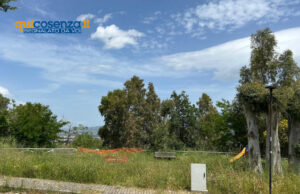 Rende, così è ridotta la piccola villetta di Sant’Agostino con i giochi per bambini - FOTO 56 Villetta Rende 05