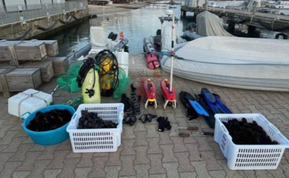 guardia finanza ricci mare bracconieri 04