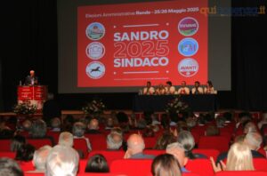 sandroprincipe14