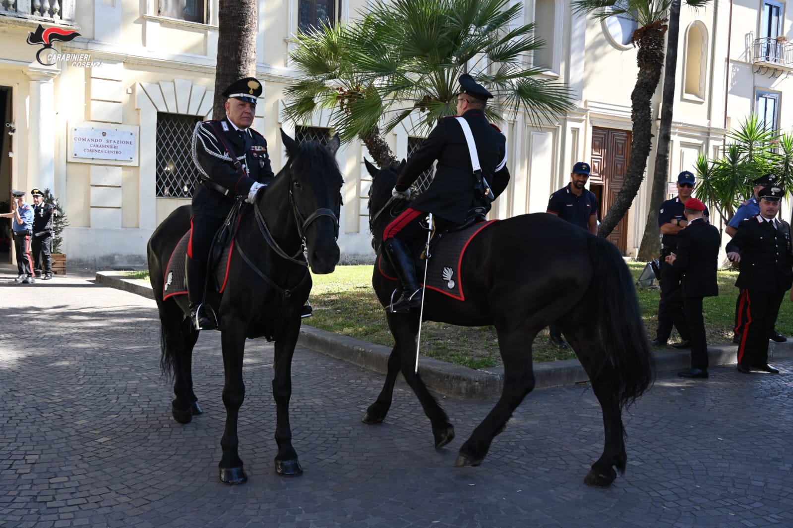 65c0e138 033f 45ed b3f2 08bc931b1fca