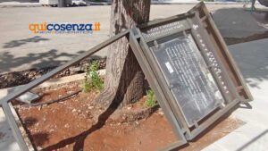 Come il PNRR trasforma le piazze, l’esempio di Castrovillari - FOTO 68 DURANTE piazza gallo castrovillari 4