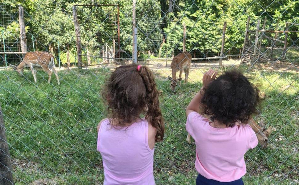 A Rogliano una giornata di inclusione per i piccoli pazienti della Neuropsichiatria Infantile 57 Giornate Inclusione Integrazione 01