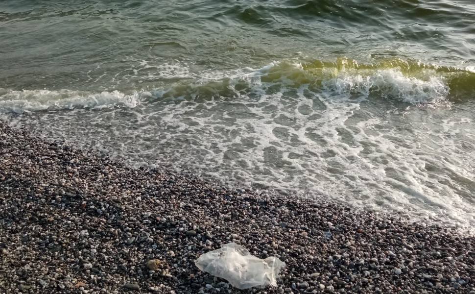 Natrella (FI): “Mare pulito? Priorità comune, serve un consorzio tra i Comuni” 51 Localita Cafarone Lamezia il 17 06 2025