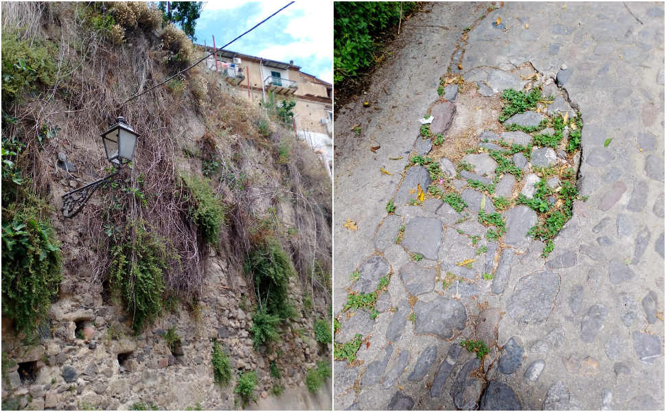Via Cairoli nel cuore di Rossano, "Movimento del Territorio": «il centro storico nel degrado totale» 57 ROSSANO VIA CAIROLI