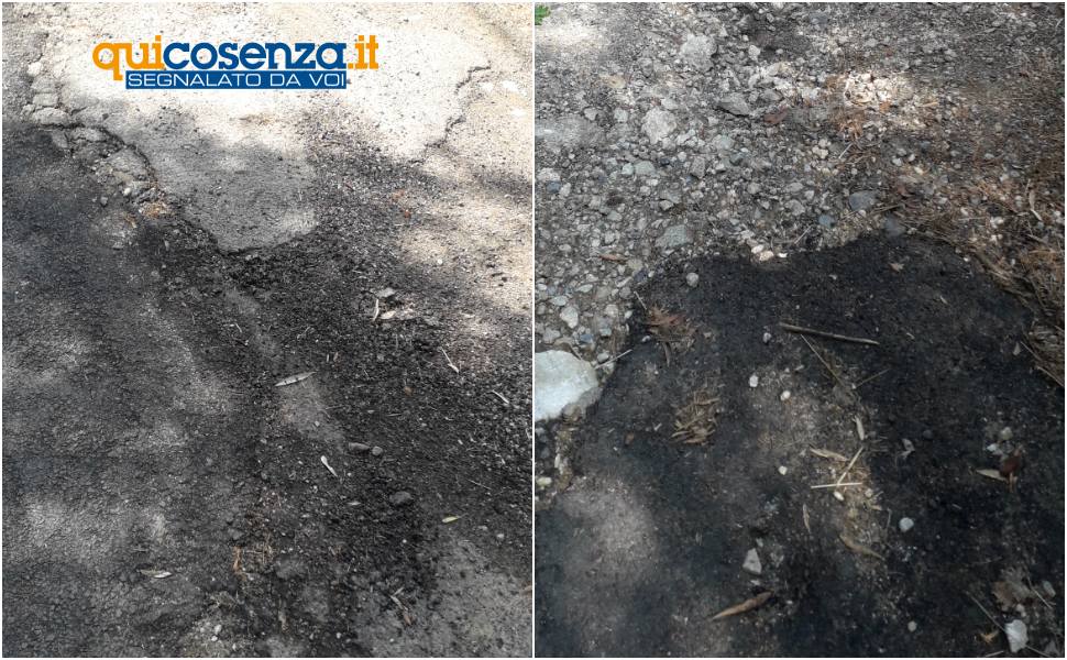 buche donnici superiore 03