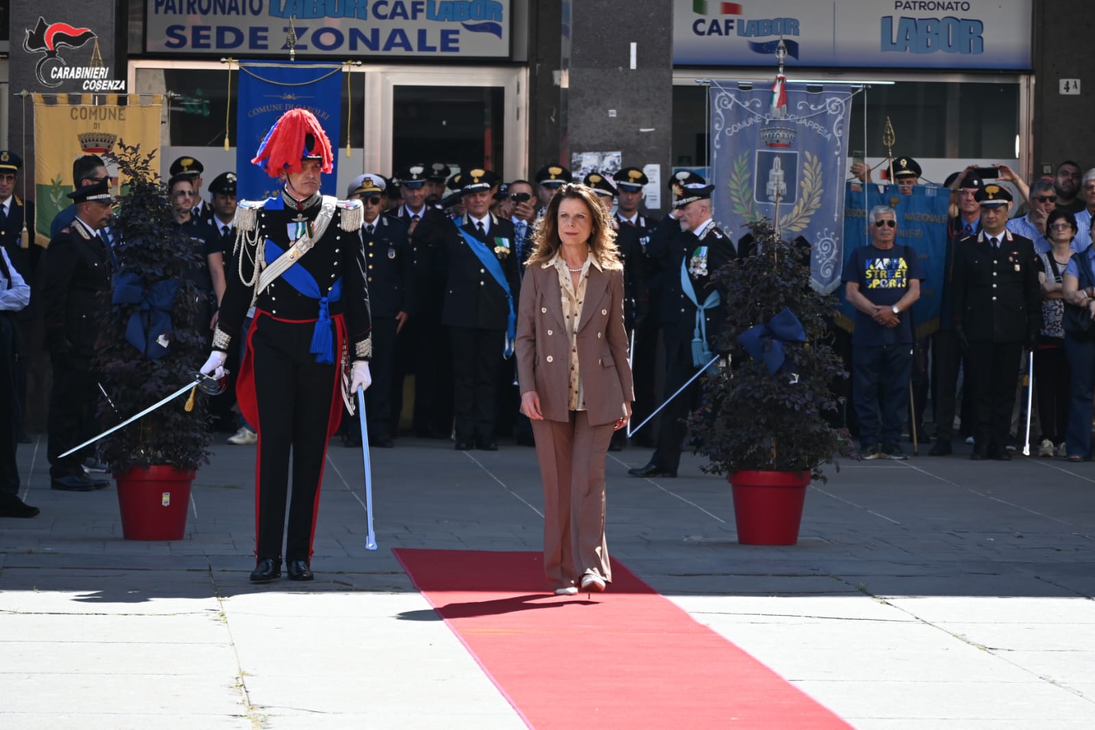 c51fc0f7 e8f4 47a8 9aaa c0ed0e83642d