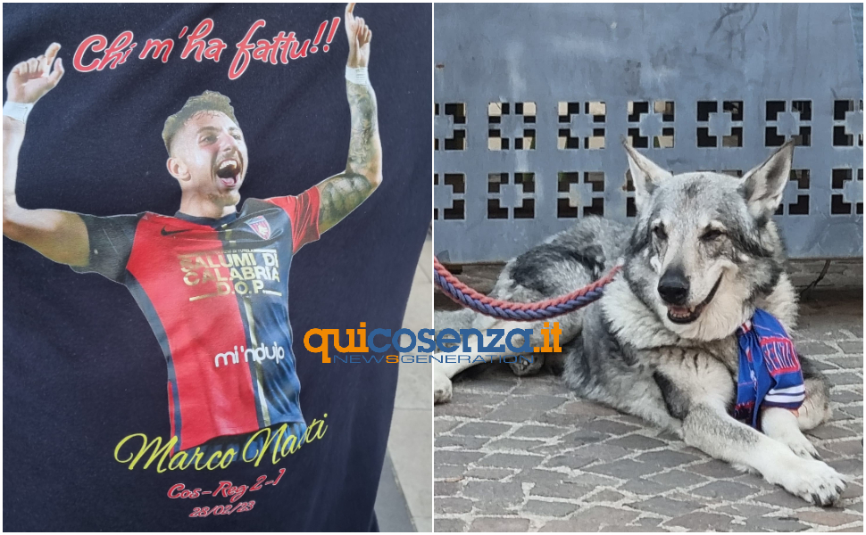 Cosenza Calcio, tifosi in piazza: «Il ciclo di Guarascio è finito....nel peggiore dei modi. Subito un nuovo corso» 56 foto-cosenza-calcio-3