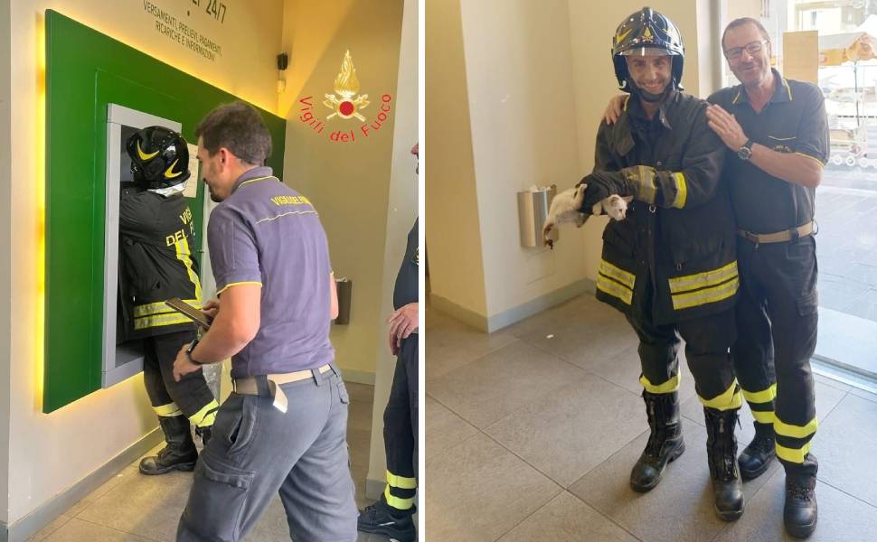 gattino salvato vigili del fuoco 01