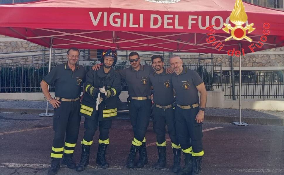 gattino salvato vigili del fuoco 03
