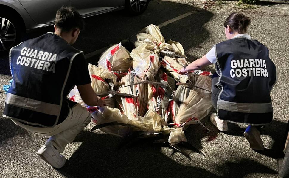 Tonno rosso sul mercato nero: altri 300 chili sequestrati dalla Guardia costiera 51 tonno rosso guardia costiera vibo