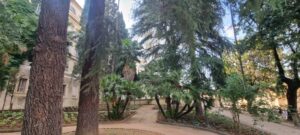 villa vecchia 010